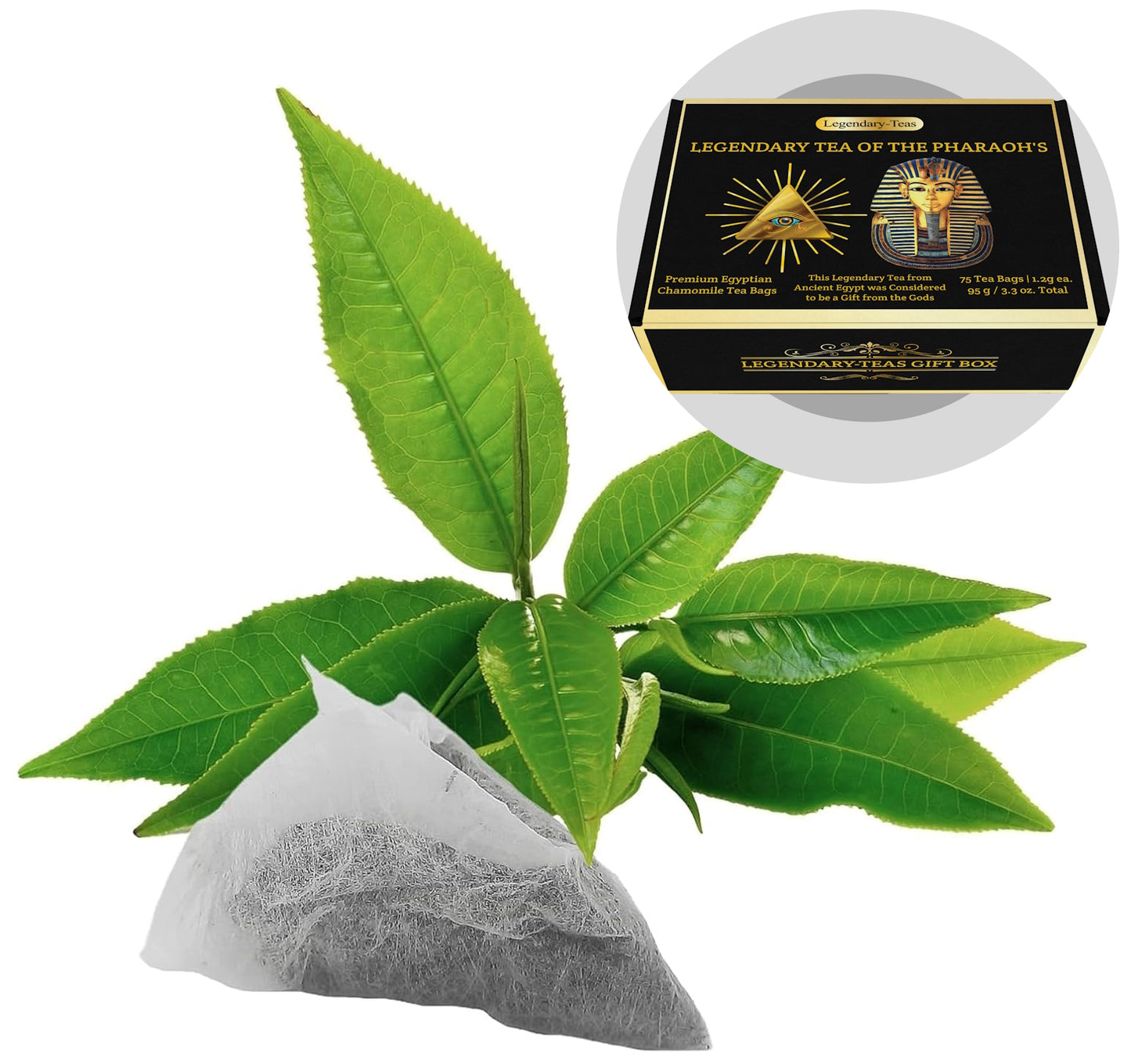 Chamomile 75-Pack Gift Box - Legendary-Teas Jumbo Pyramid Tea Bags 1.2g each