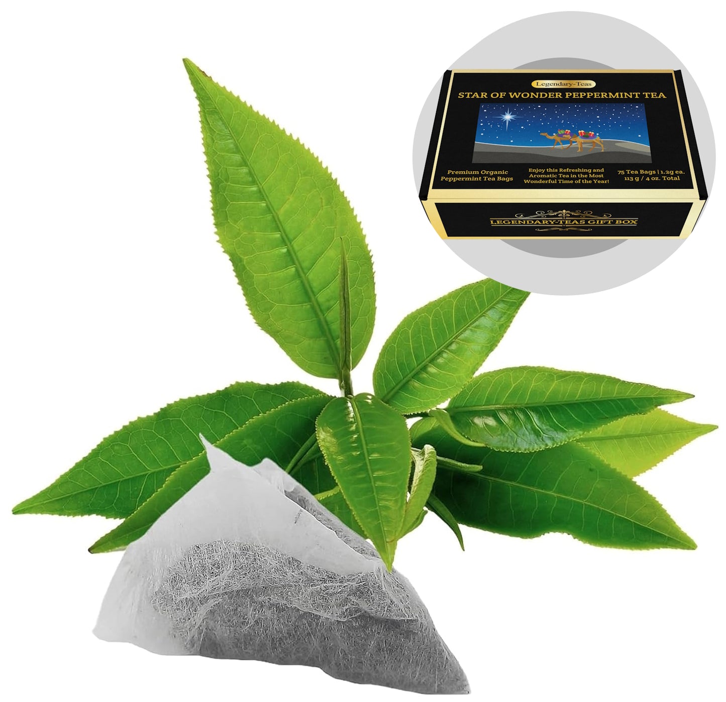 Premium Peppermint Tea 75-Pack Gift Box - Legendary-Teas Jumbo Pyramid Tea Bags